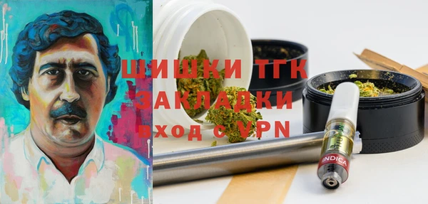 крисы Белокуриха