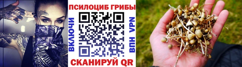 Галлюциногенные грибы Psilocybine cubensis  Реж 